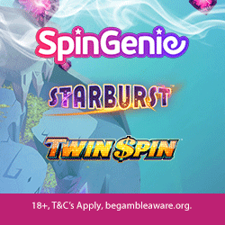 Spin Genie Casino Slots